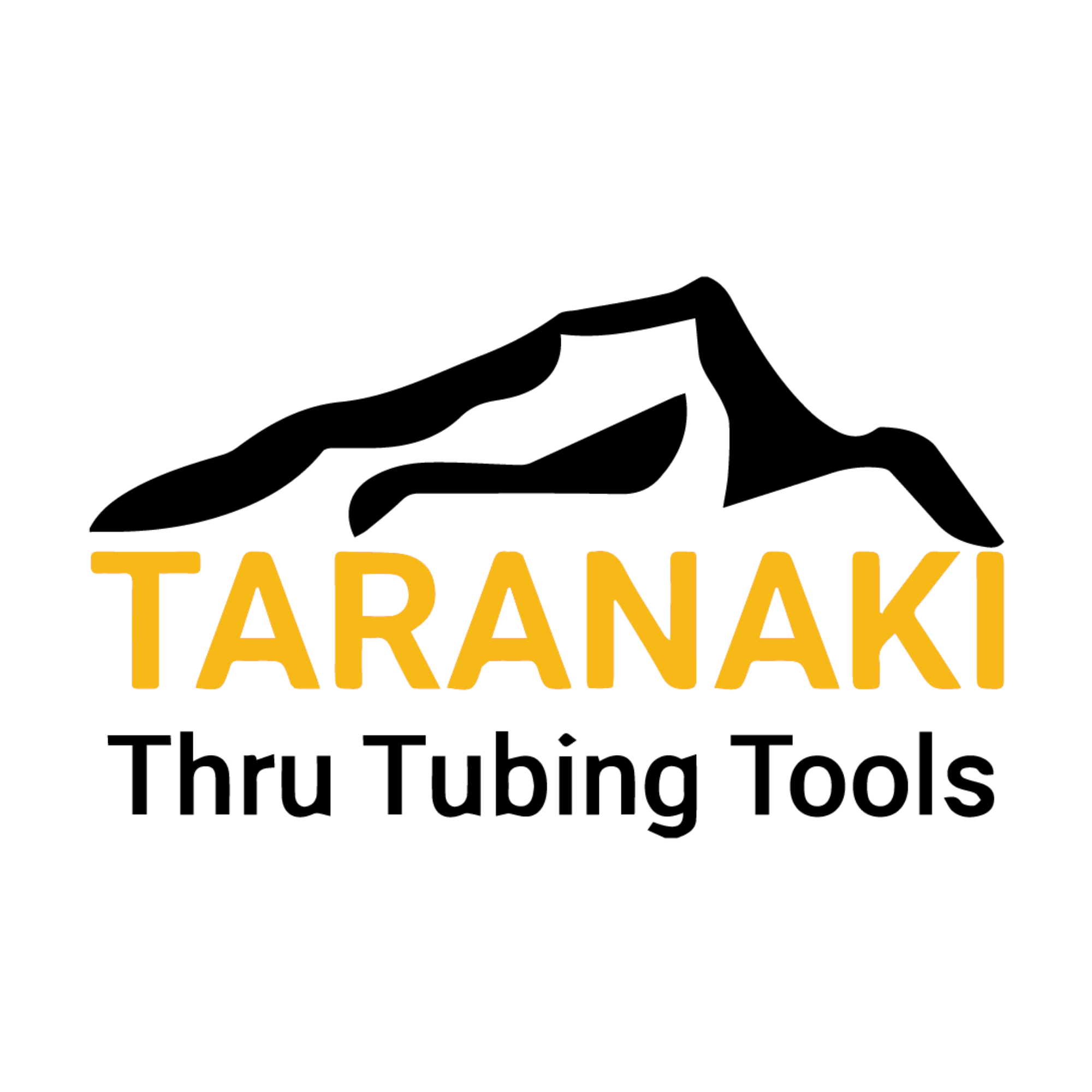 Platinum Sponsor