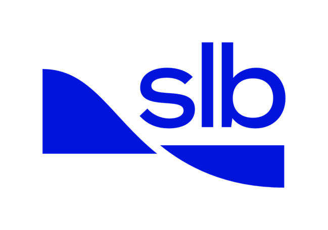 Platinum sponsor
