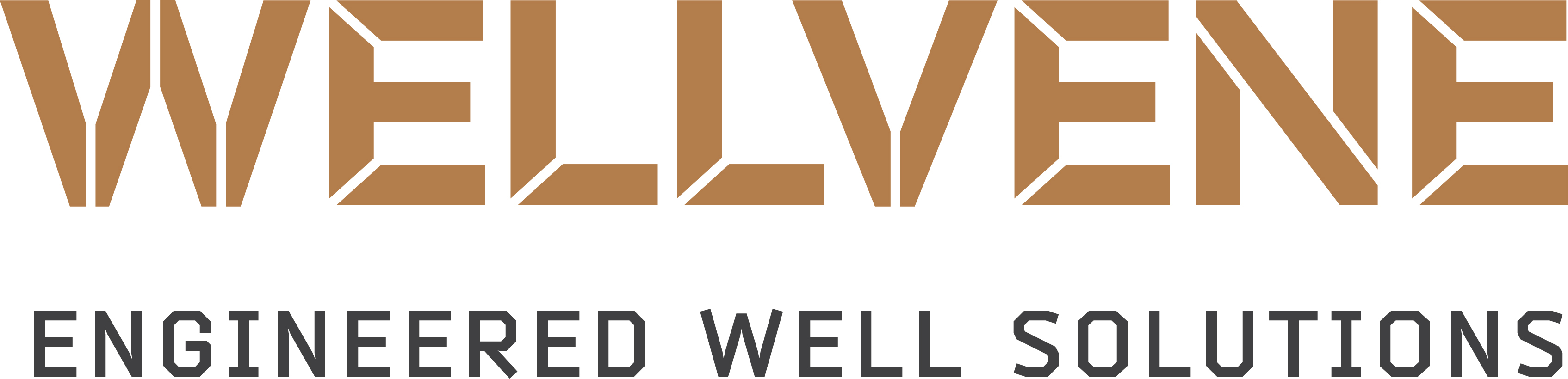 Platinum Sponsor