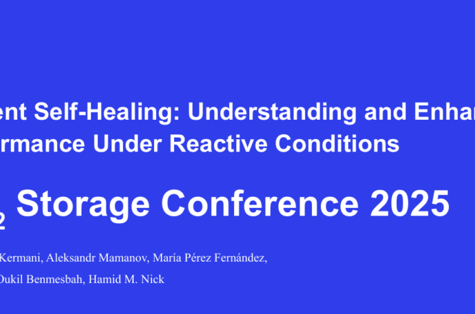 Cement Self-Healing: Understanding and Enhancing  Performance Under Reactive Conditions