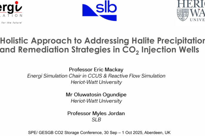 A Holistic Approach to Addressing Halite Precipitation  and Remediation Strategies in CO2 Injection Wells