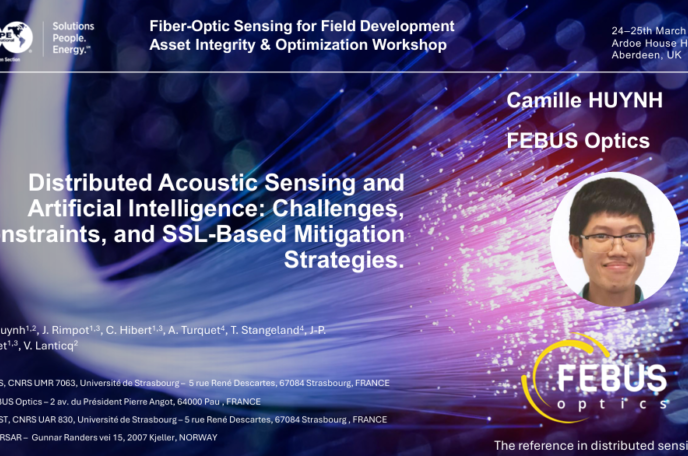 Distributed Acoustic Sensing and Artificial Intelligence: Challenges, Constraints, and SSL-Based Mitigation Strategies
