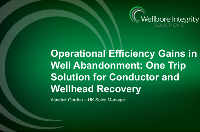 Operational Efficiency Gains in Well Abandonment: One Trip Solution for Conductor and Wellhead Recovery