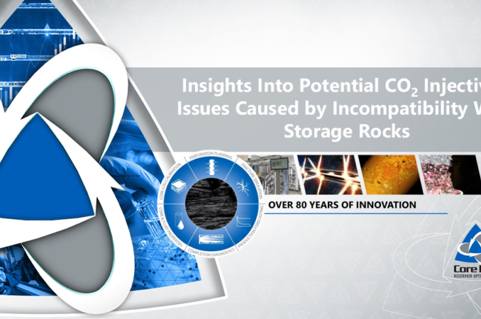 Insights Into Potential CO2 Injectivity Issues Caused by Incompatibility With Storage Rocks