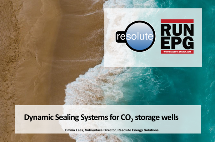 Dynamic Sealing Systems for CO2storage wells