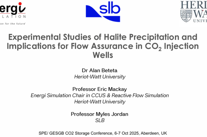 Experimental Studies of Halite Precipitation and Implications for Flow Assurance in CO2 Injection Wells